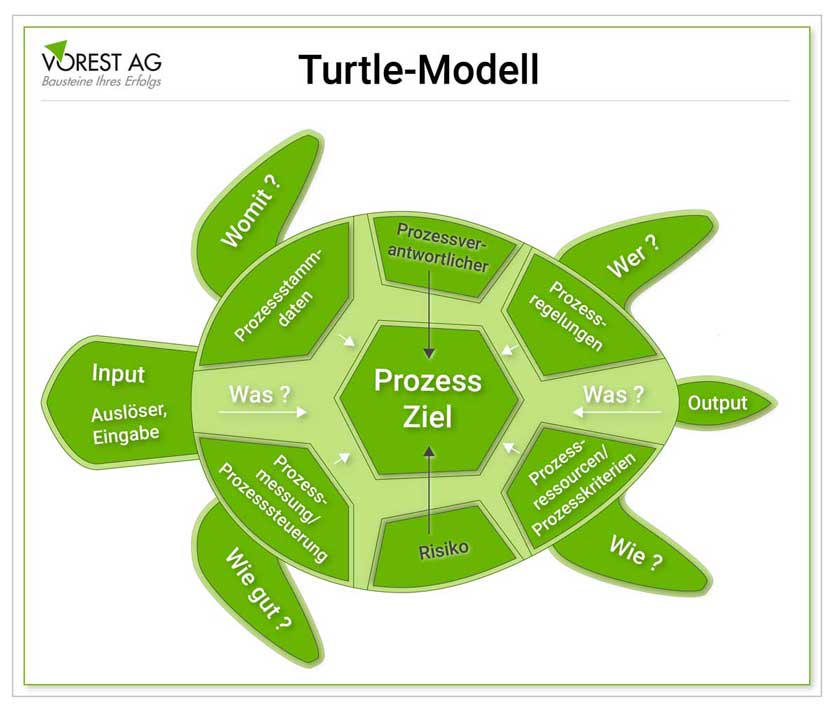 Turtle Modell