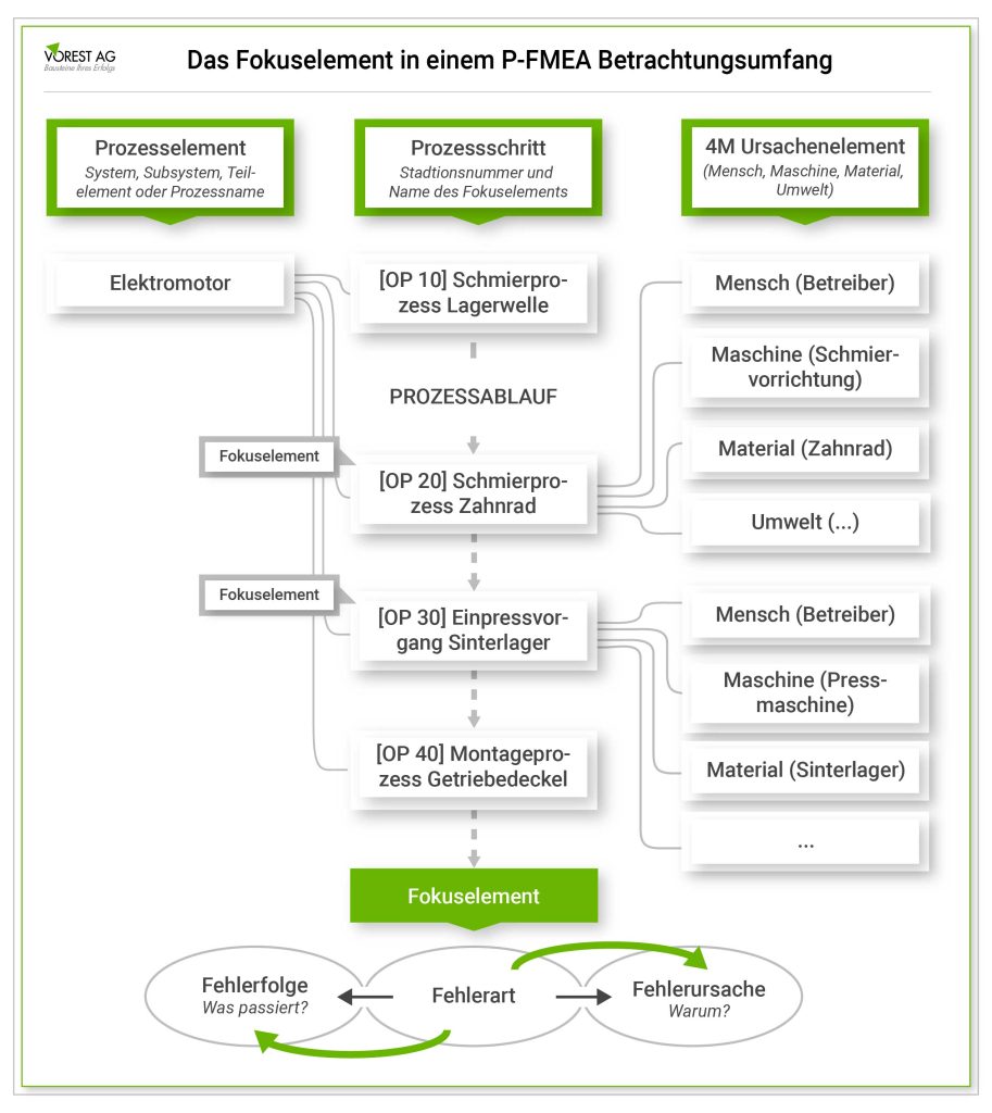 Das Fokus Element der P FMES Analyse