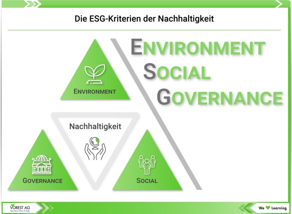 Nachhaltigkeitsmanagement im Unternehmen - ESG-Kriterien der Nachhaltigkeit